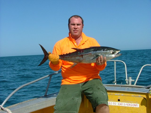 Northern blue fin (I think)